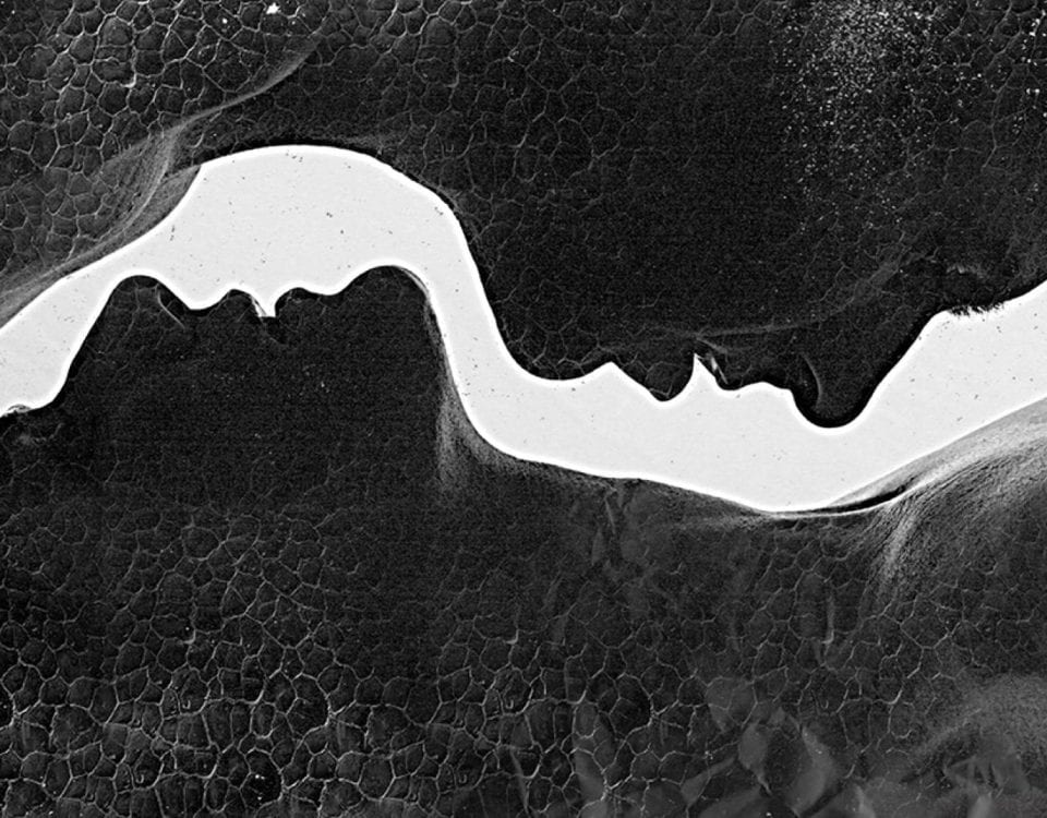 fotografie - melange-design.nl